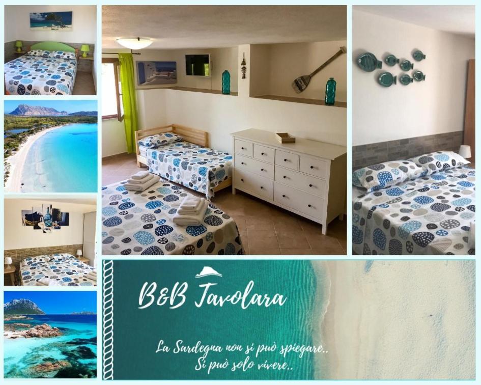 B&B Tavolara Puntaldia Εξωτερικό φωτογραφία